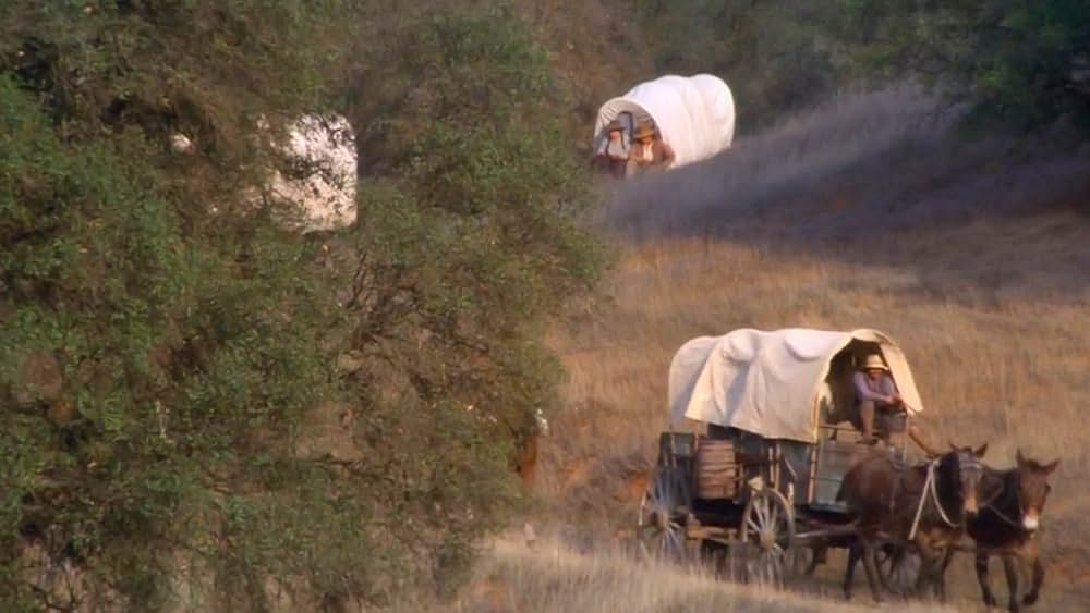 Love Comes Softly（原題）の画像