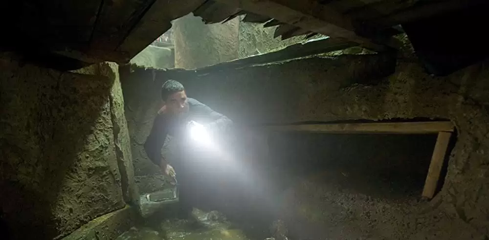 ディスタービアの画像