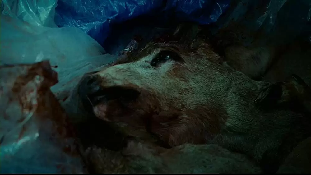 ディスタービアの画像