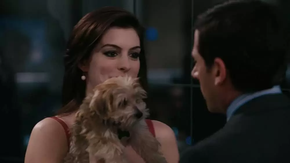 ゲット スマートの画像