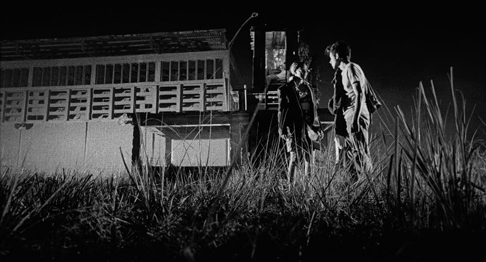 イースト・オブ・ヌーンの画像