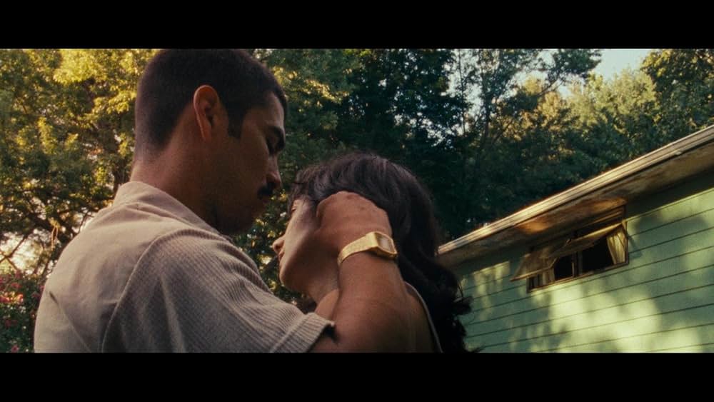 We the Animals（原題）の写真