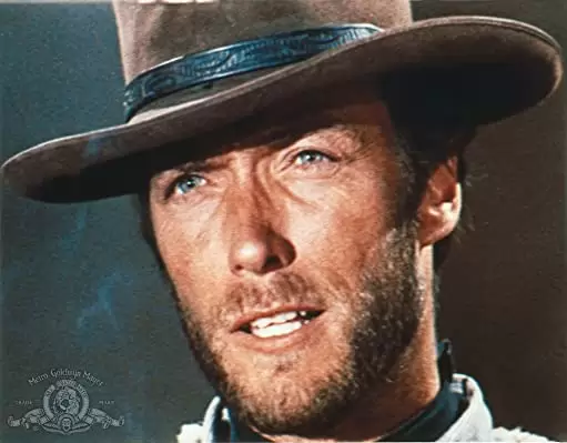 夕陽のガンマンの画像