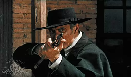 夕陽のガンマンの画像