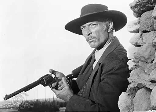 夕陽のガンマンの画像