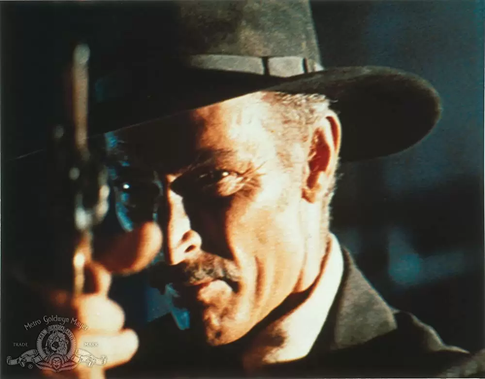 夕陽のガンマンの画像