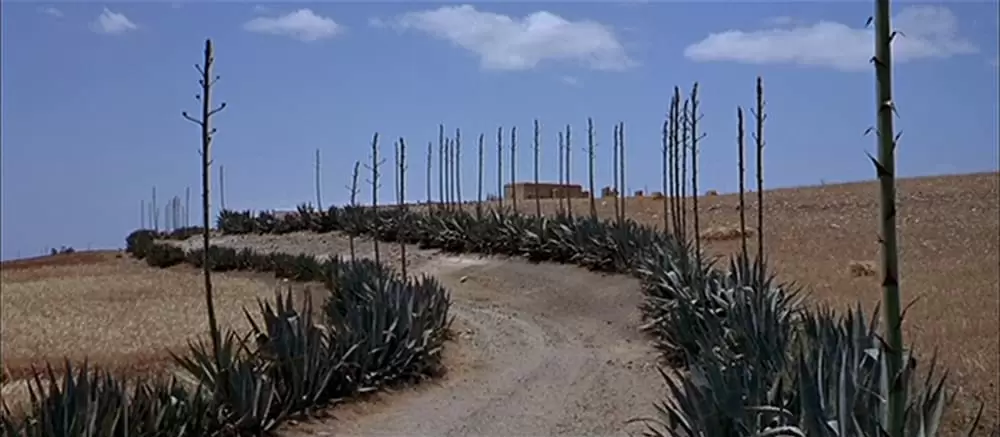 夕陽のガンマンの画像