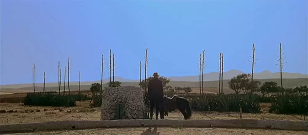 夕陽のガンマンの画像