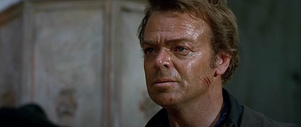 夕陽のガンマンの画像