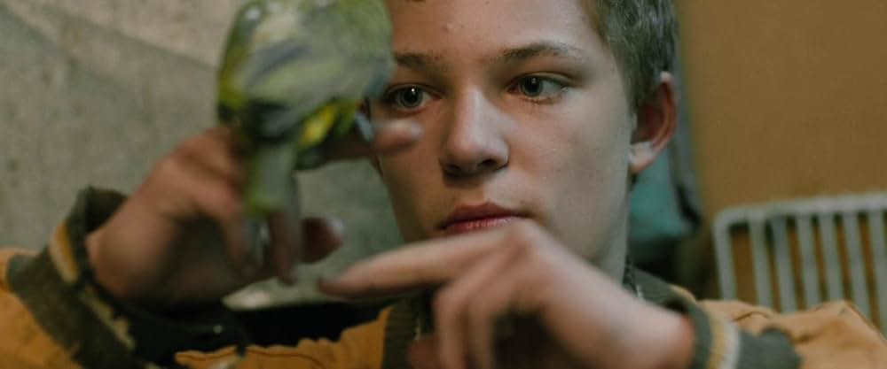 Don't Come Back from the Moon（原題）の画像