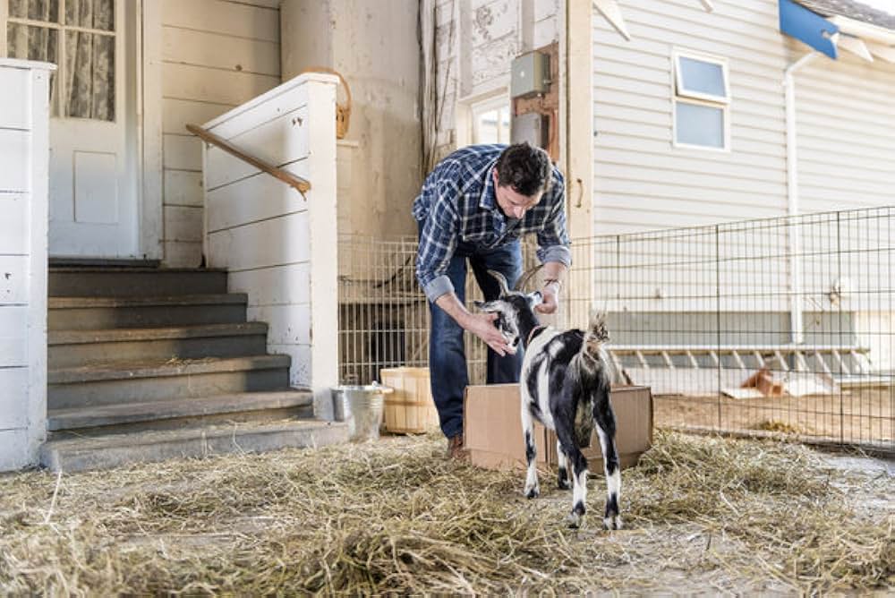 オール・オブ・マイ・ハート 愛のためにの画像