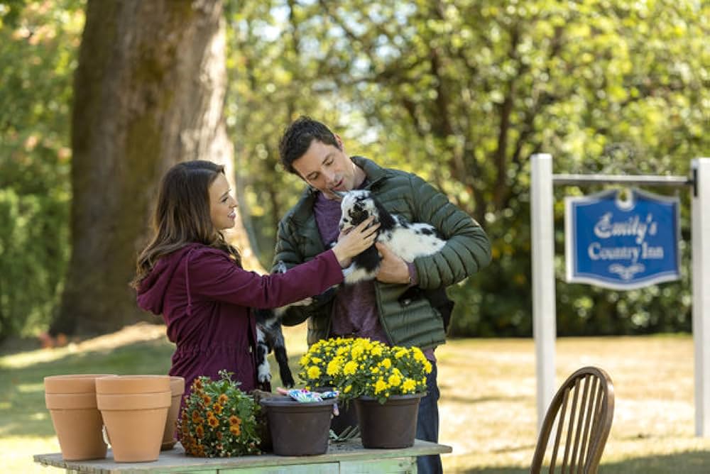 オール・オブ・マイ・ハート 愛のためにの画像