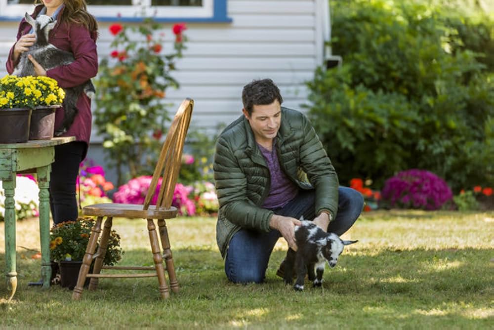 オール・オブ・マイ・ハート 愛のためにの画像