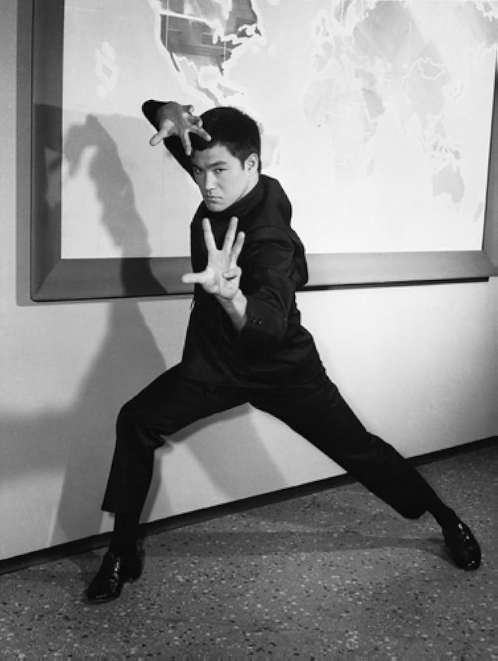 グリーン・ホーネットの画像