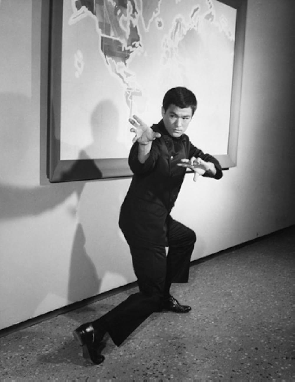 グリーン・ホーネットの画像