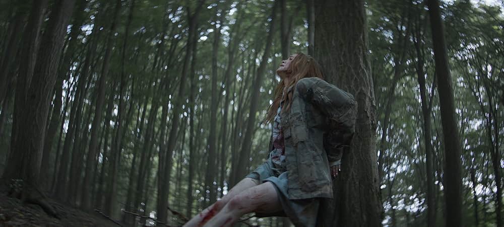 The Strangers: Chapter 2（原題）の画像