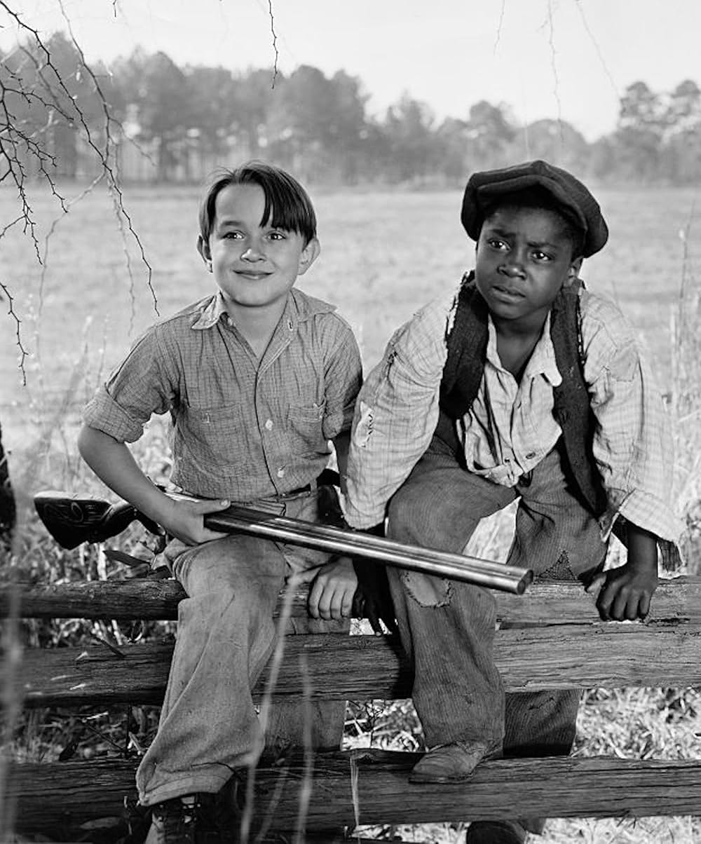 僕の愛犬の画像