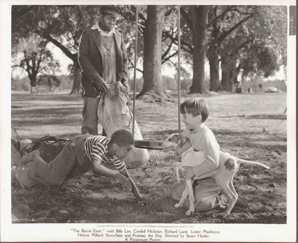 僕の愛犬の画像
