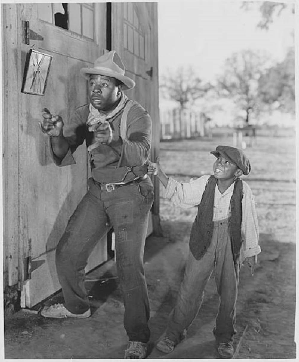 僕の愛犬の画像