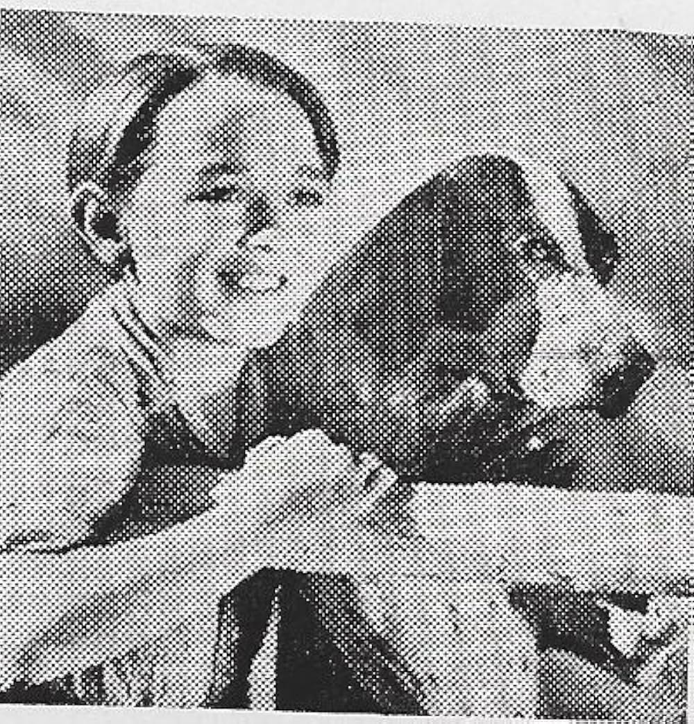 僕の愛犬の写真