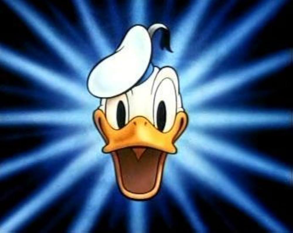 ドナルドの難破船の写真