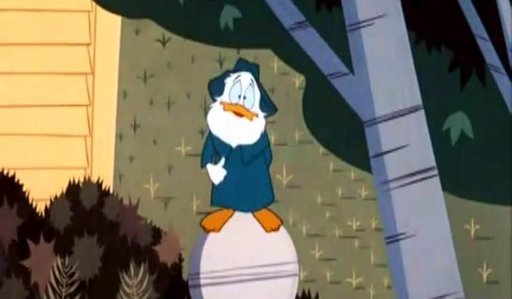 ドナルドの災難〜家庭篇／ドナルドの家庭内事故の画像