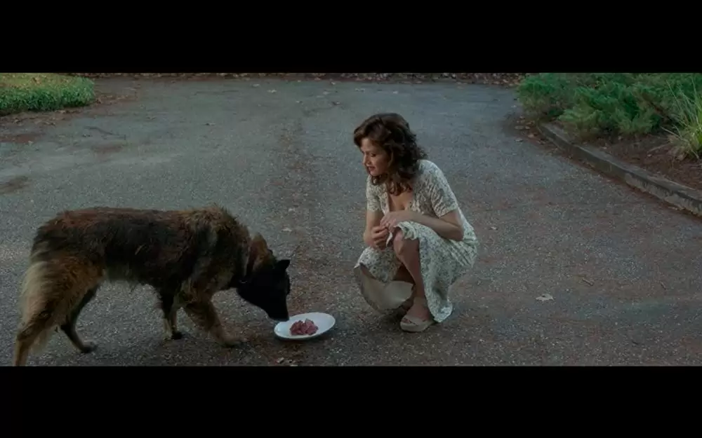 ジェラルドのゲームの画像