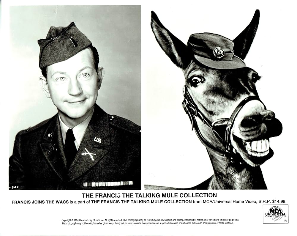 Francis（原題）の写真