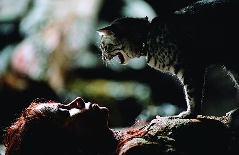 キャットウーマンの画像