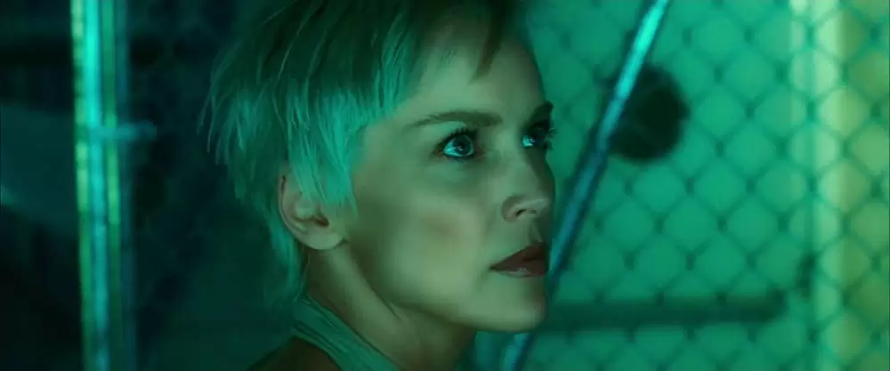 キャットウーマンの画像