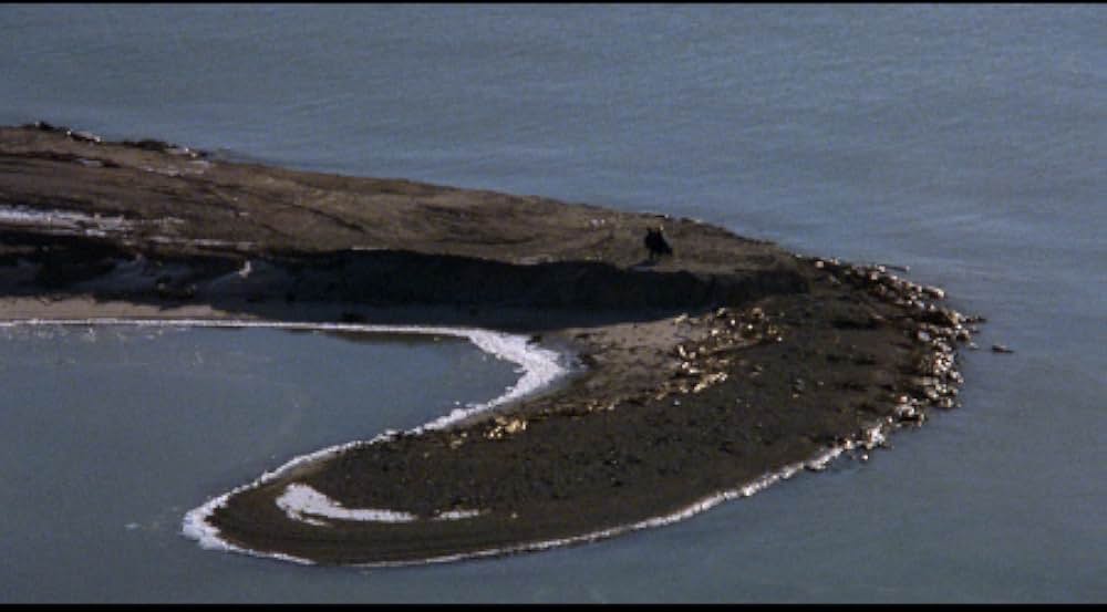 Cannibal Girls（原題）の画像