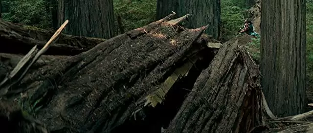 スイス・アーミー・マンの画像