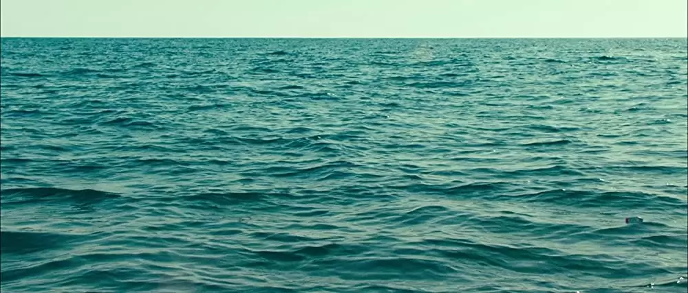 スイス・アーミー・マンの画像