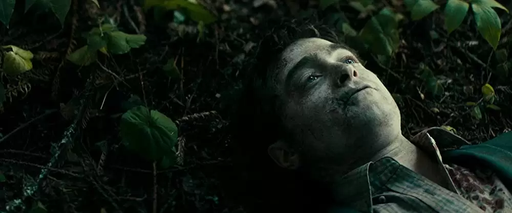 スイス・アーミー・マンの画像