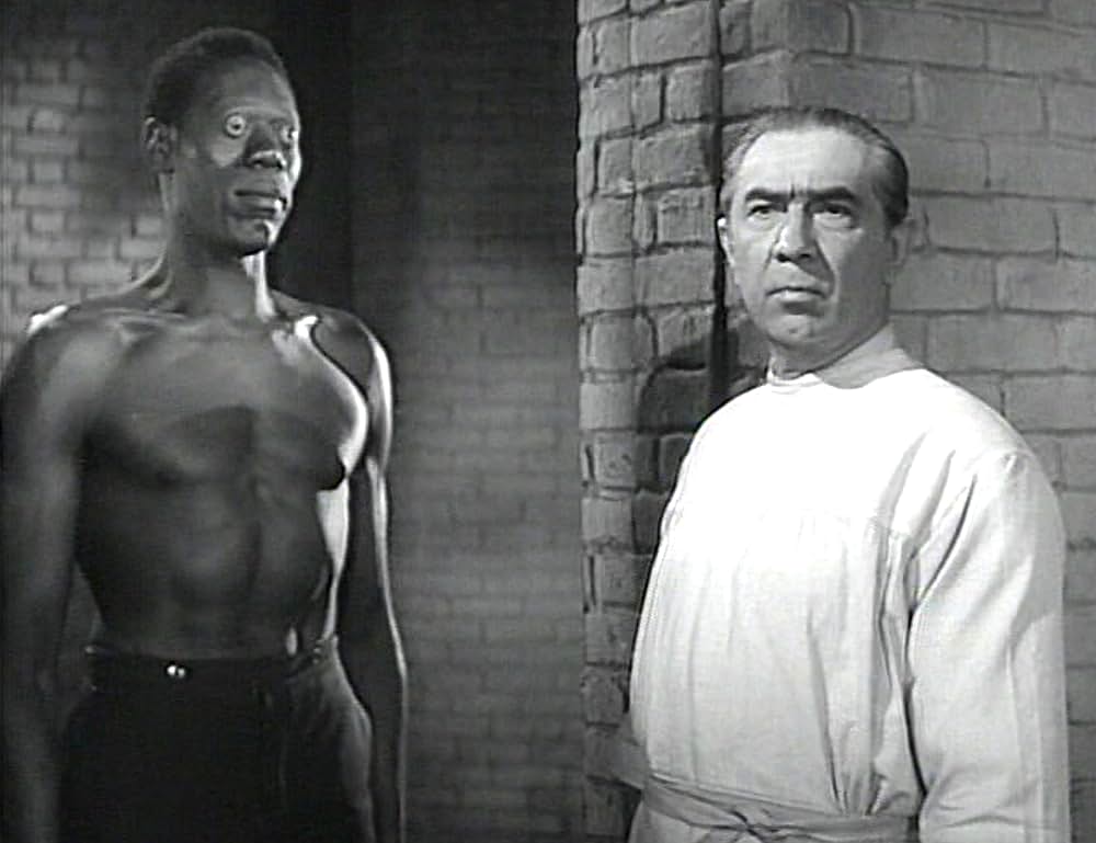 ブロードウェイのゾンビの画像