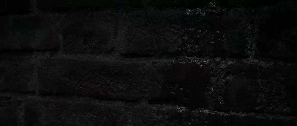 ニンフォマニアック Vol.1の画像