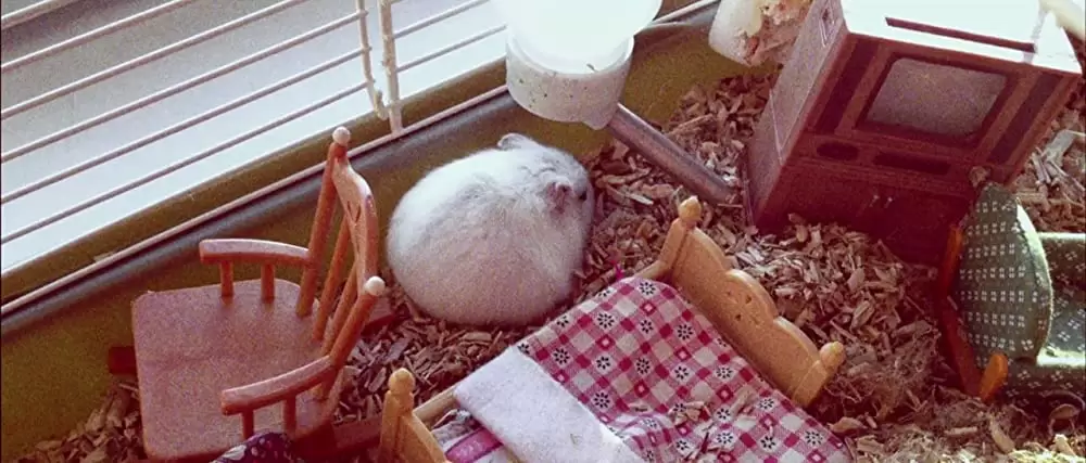 ニンフォマニアック Vol.1の画像