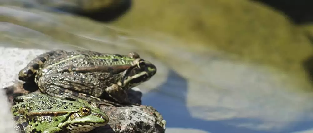 ニンフォマニアック Vol.1の画像