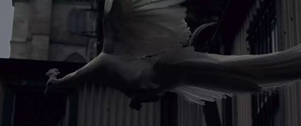 アイ・オリジンズの画像