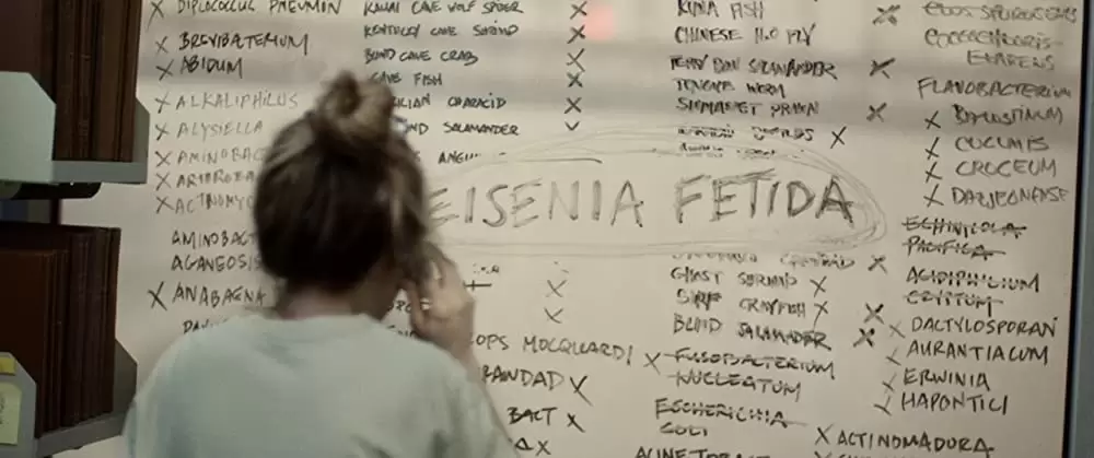 アイ・オリジンズの画像