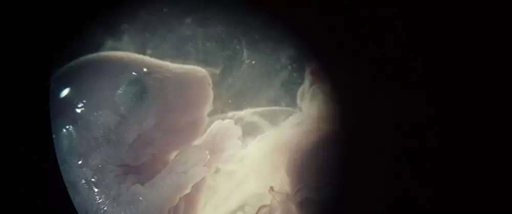 アイ・オリジンズの画像