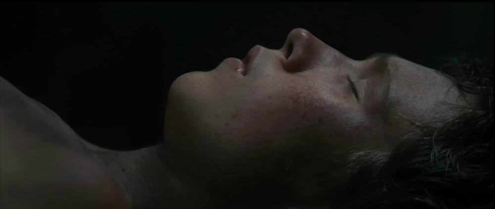 Lost on a Mountain in Maine（原題）の写真