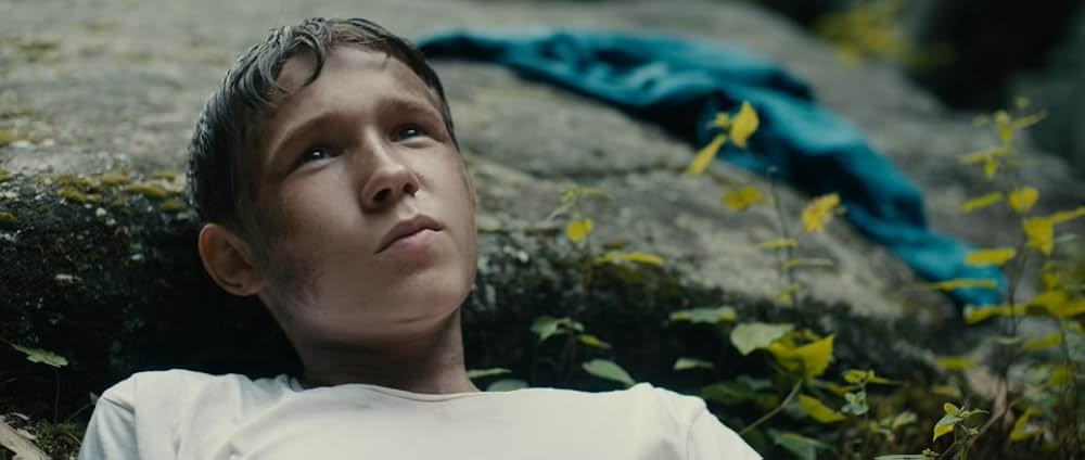 Lost on a Mountain in Maine（原題）の画像