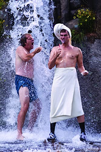 帰ってきたMr.ダマー バカMAX！の画像