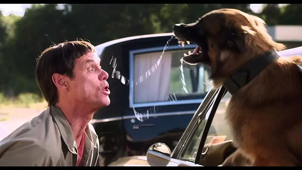 帰ってきたMr.ダマー バカMAX！の画像