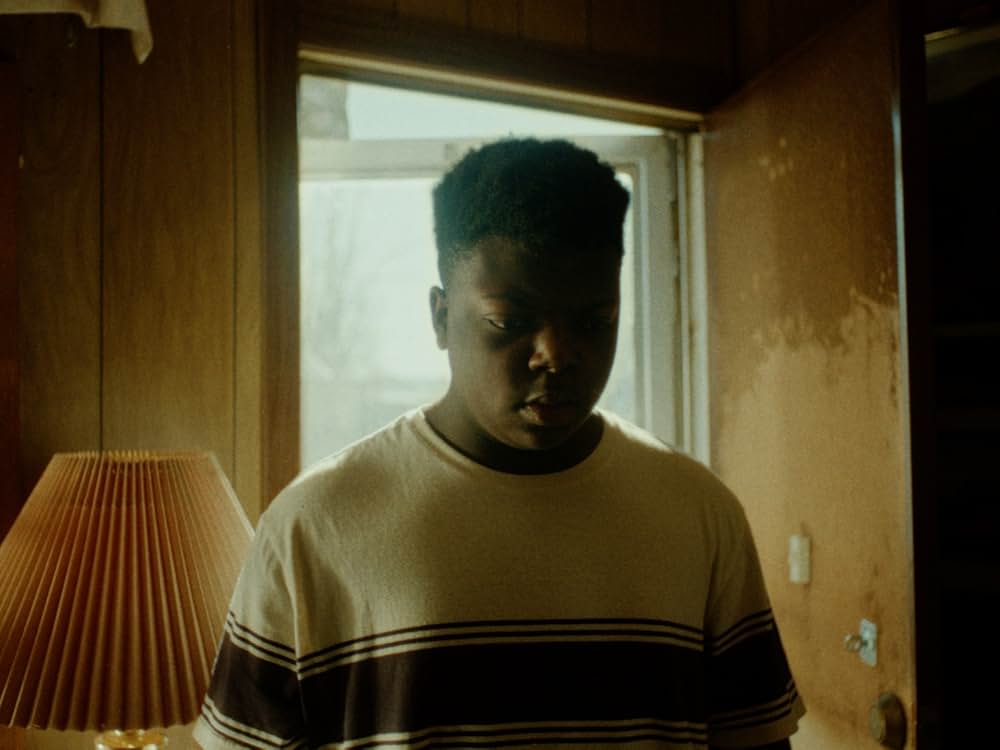 痛みを感じない少年の画像