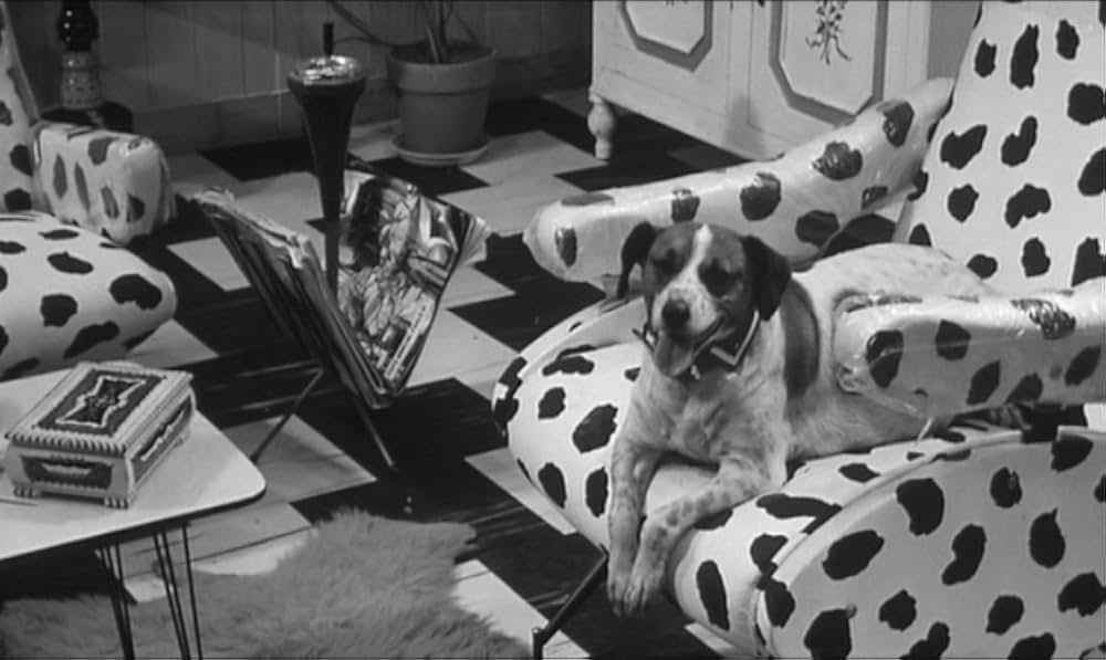 La visita（原題）の画像