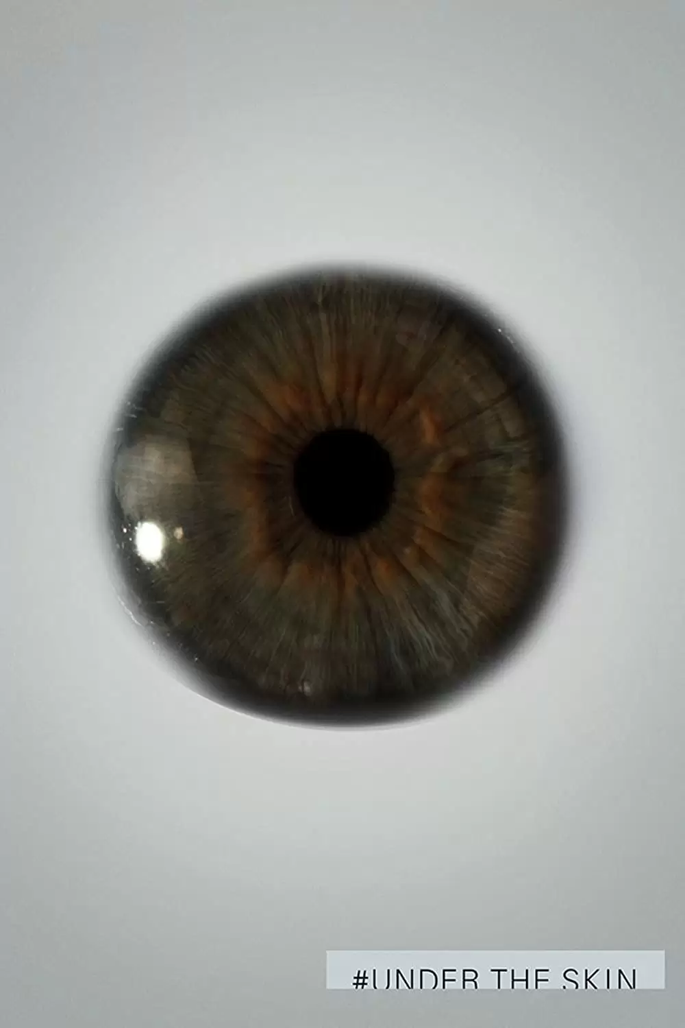 アンダー・ザ・スキン 種の捕食の画像