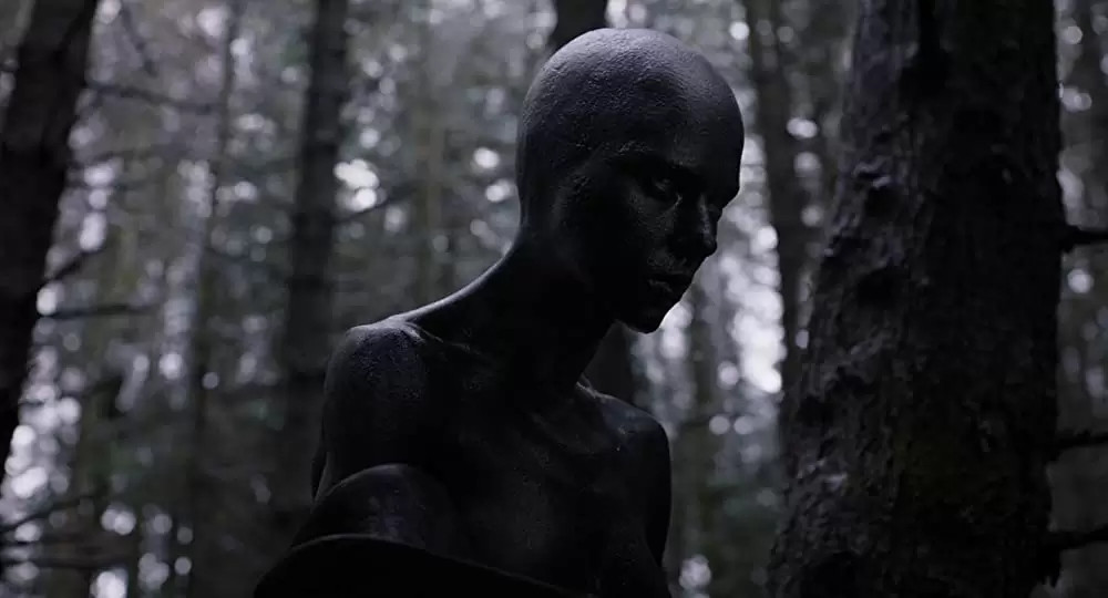 アンダー・ザ・スキン 種の捕食の画像