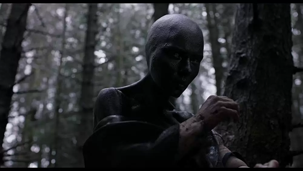 アンダー・ザ・スキン 種の捕食の画像